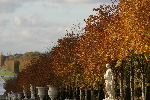 Court métrage à Versailles